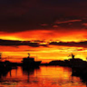 Meet your Posher, Molly